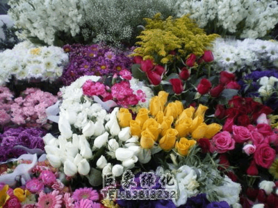 我國花卉市場的現(xiàn)狀及發(fā)展趨勢(shì)簡析